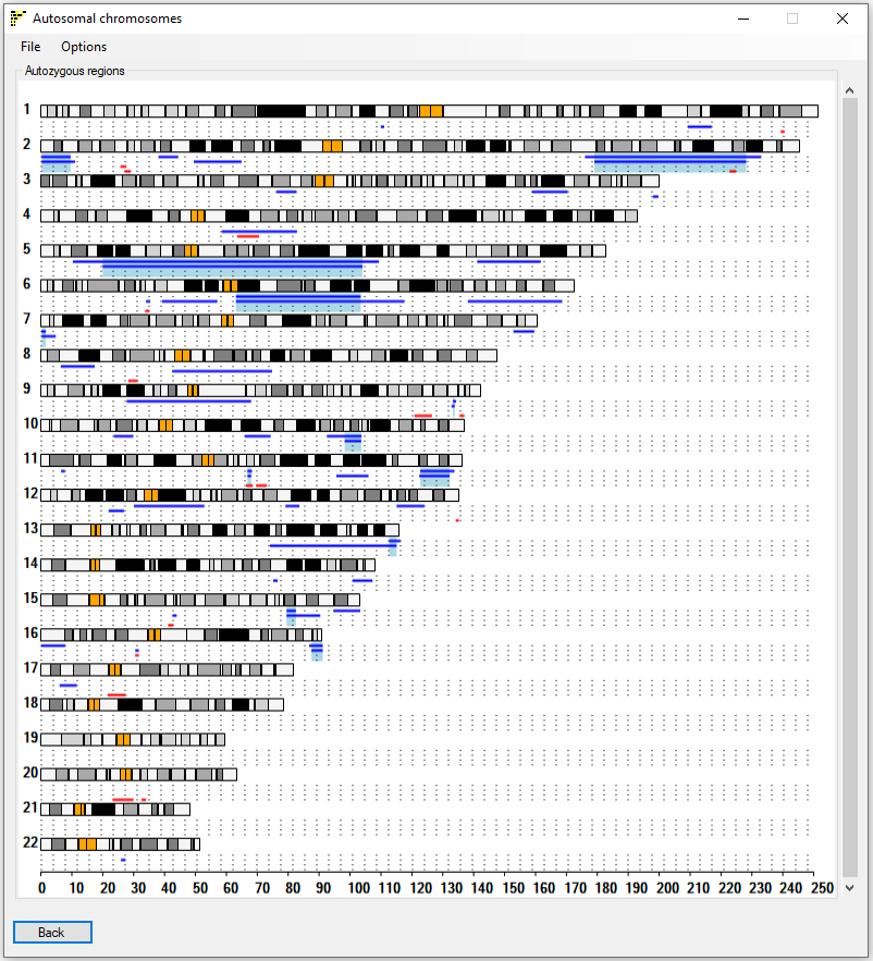 AgileMultiIdeogram Screenshot 4