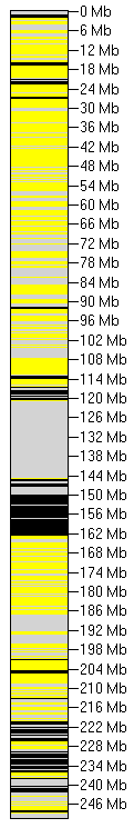 AgileVariantMapper Screenshot 10