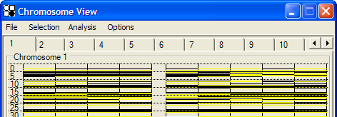 Chromosome view