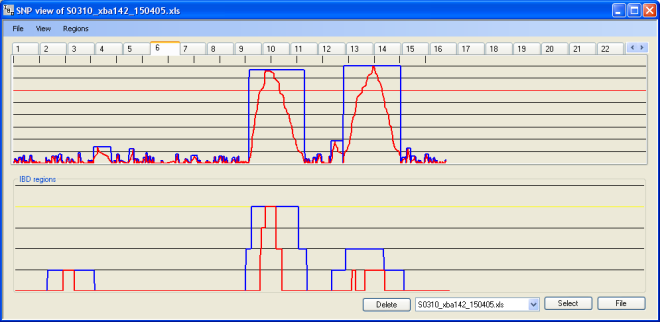 IBDfinder in action